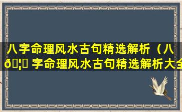 八字命理风水古句精选解析（八 🦋 字命理风水古句精选解析大全）